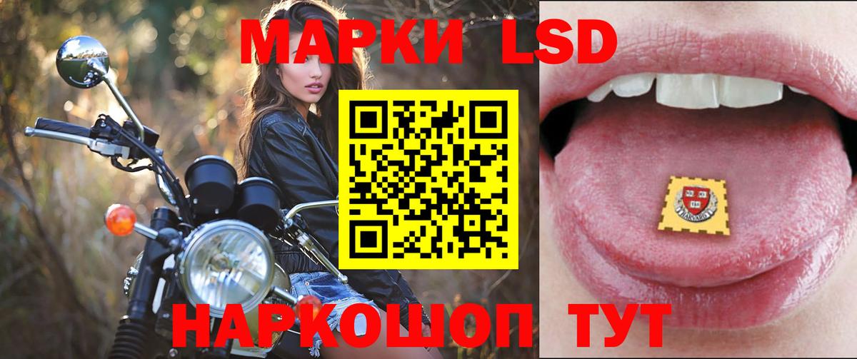 LSD-25 экстази кислота  ЛСД экстази кислота  LSD-25 экстази  Вход с VPN  Заинск 