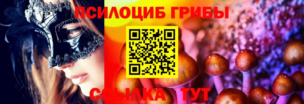 Галлюциногенные грибы Psilocybine cubensis  Псилоцибиновые грибы MAGIC MUSHROOMS  Заинск  Вход с VPN 